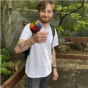 GCSEs can be stressful, I can probably help you